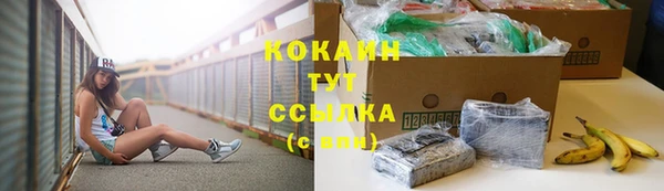 молекула духа Магадан
