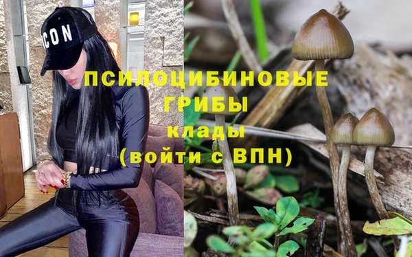 эйфоретик Магас