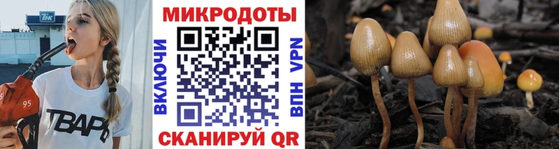 Псилоцибиновые грибы GOLDEN TEACHER  hydra вход  Добрянка 