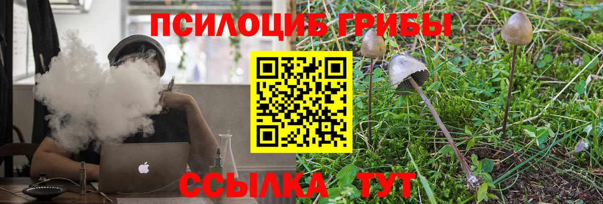 Псилоцибиновые грибы Psilocybine cubensis  Вход с VPN  Добрянка 